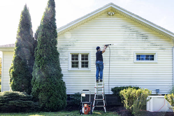 Best House Pressure Washing  in Morrisonvle, IL