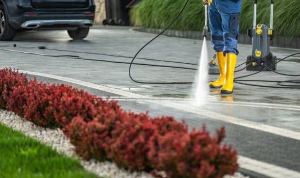 Best Pressure Washing Services for Businesses  in Morrisonvle, IL
