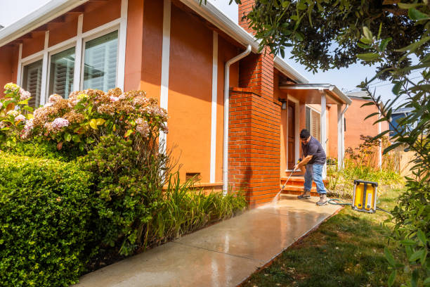 Best Local Pressure Washing Services  in Morrisonvle, IL