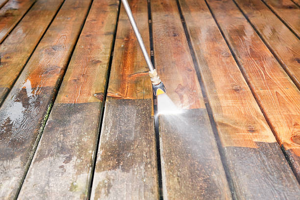 Best Pressure Washing Company Near Me  in Morrisonvle, IL