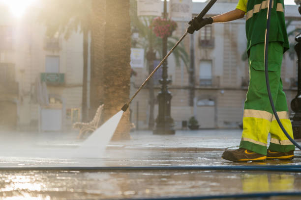 Best Roof Pressure Washing  in Morrisonvle, IL